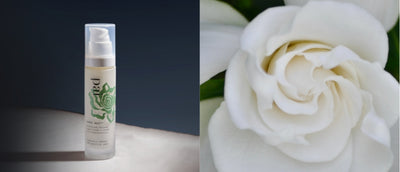 Nouveau ! Découvrez notre crème de nuit pour lisser les ridules