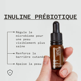 Inuline Prébiotique Booster Protecteur 4%