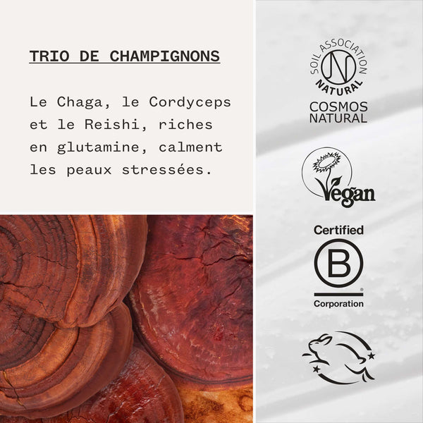 Booster Super Apaisant au Trio de Champignons 10%